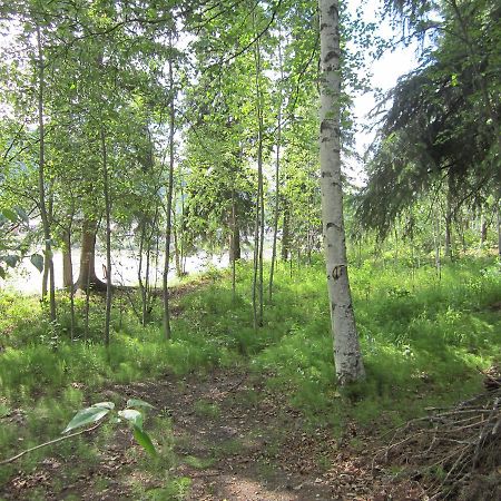Dawson City River Hostel Luaran gambar